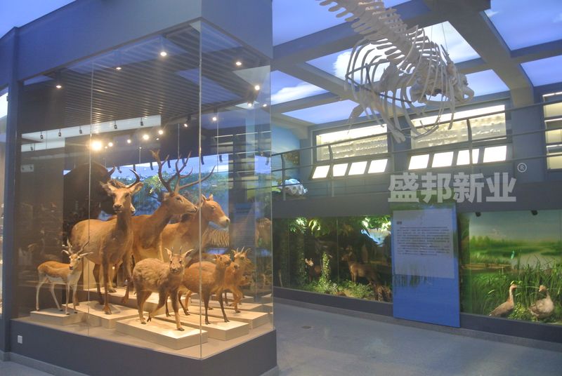 由盛邦打造的北京大学生物博物馆通过验收，开馆使用迎客