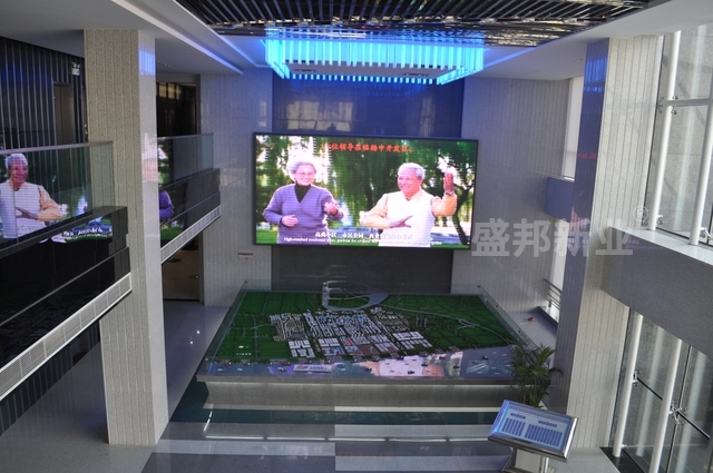 江苏扬中经济技术开发区规划馆竣工_盛邦获得了观众们的赞誉