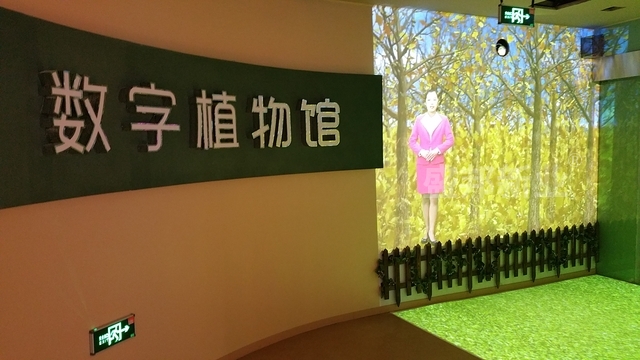 盛邦打造的徐州植物园博物馆_参观者流连忘返